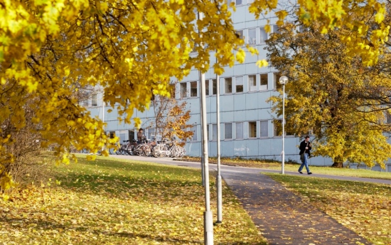 Autumn at Södra huset, Stockholm University